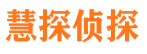 两当侦探公司